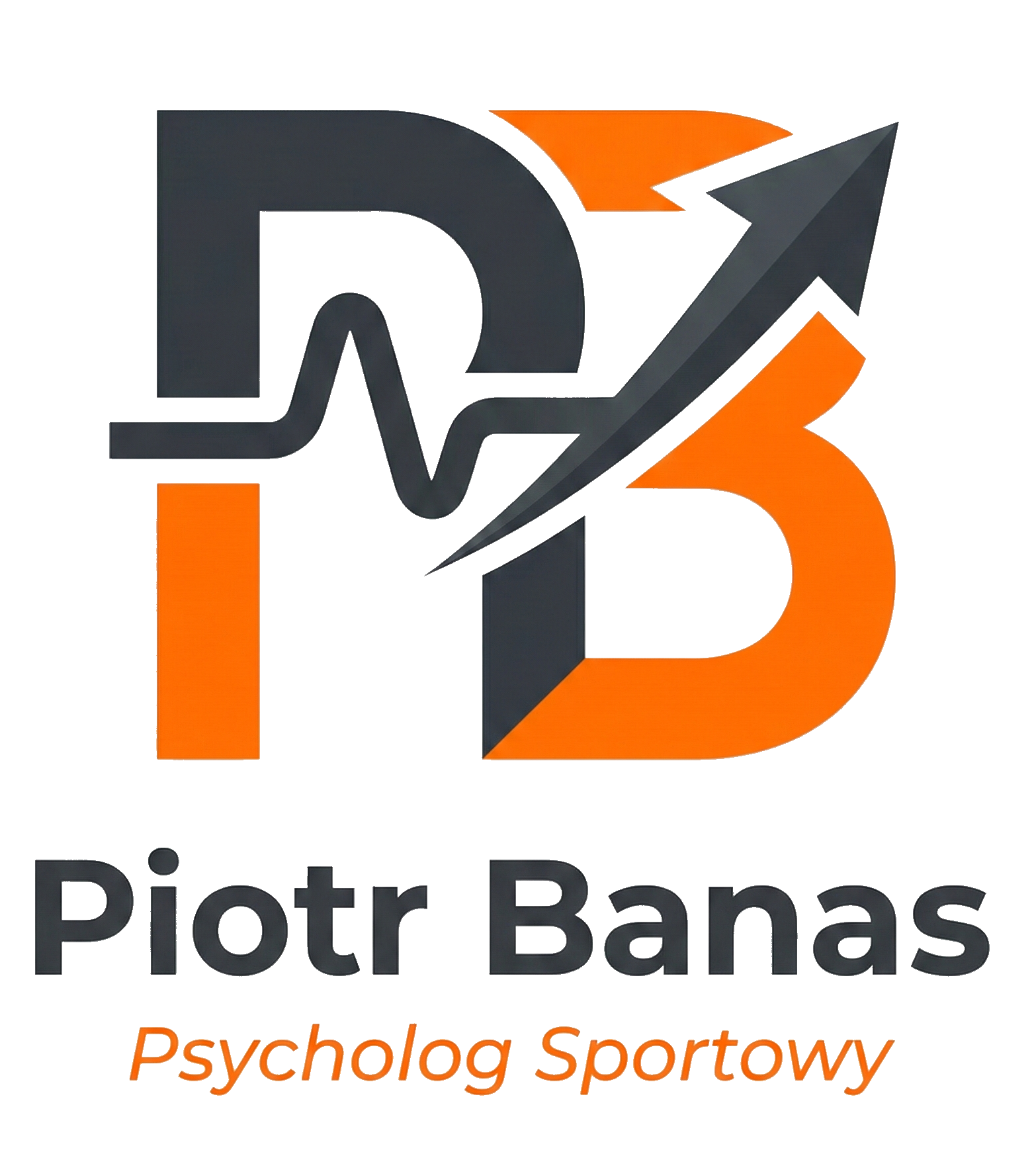 logo_preview